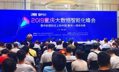 大數(shù)據(jù)賦能，軟件定義未來 重慶軟件開發(fā)企業(yè)在智能化浪潮下的機遇與路徑